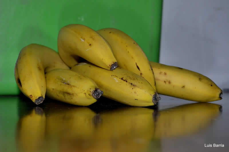 Gurushots Still Life Winners Photo Challenge