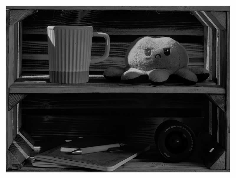 Gurushots Still Life Winners Photo Challenge