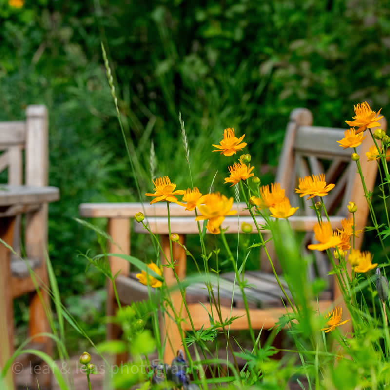 Gurushots Still Life Winners Photo Challenge