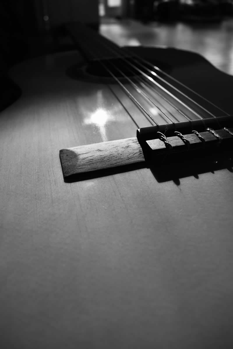 Gurushots Still Life Winners Photo Challenge