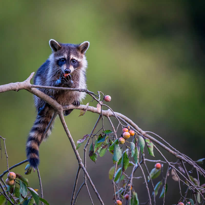 Snack break. Photo by: Tuan Dao