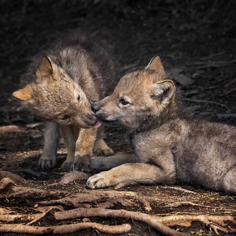 Bestie status. Photo by: Adria Photography