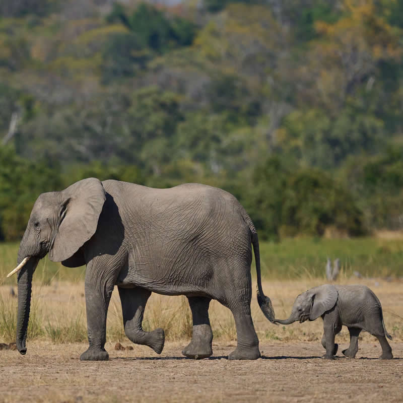 Wait up!. Photo by: Jeremy Richards