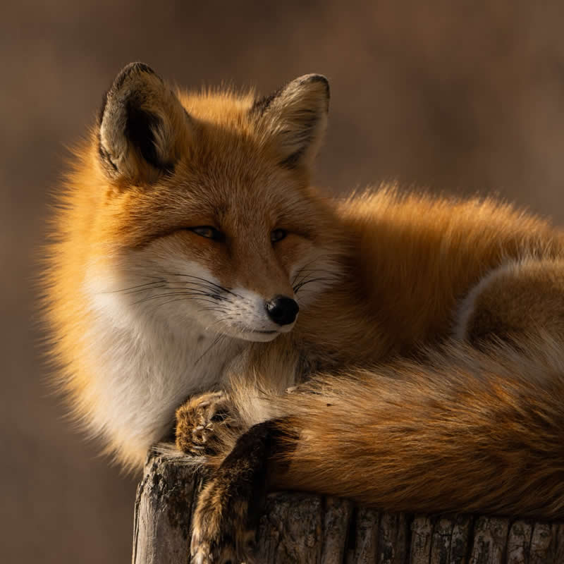 Good hair day?. Photo by: Joy Pan