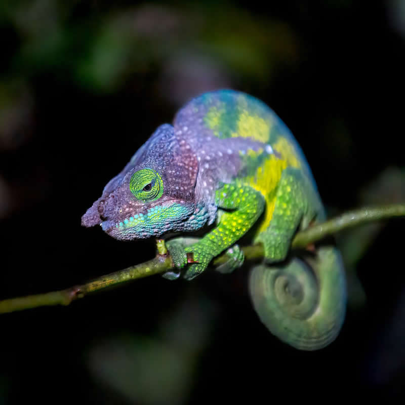 Clinging to the weekend like. Photo by: Cyrielle Beaubois