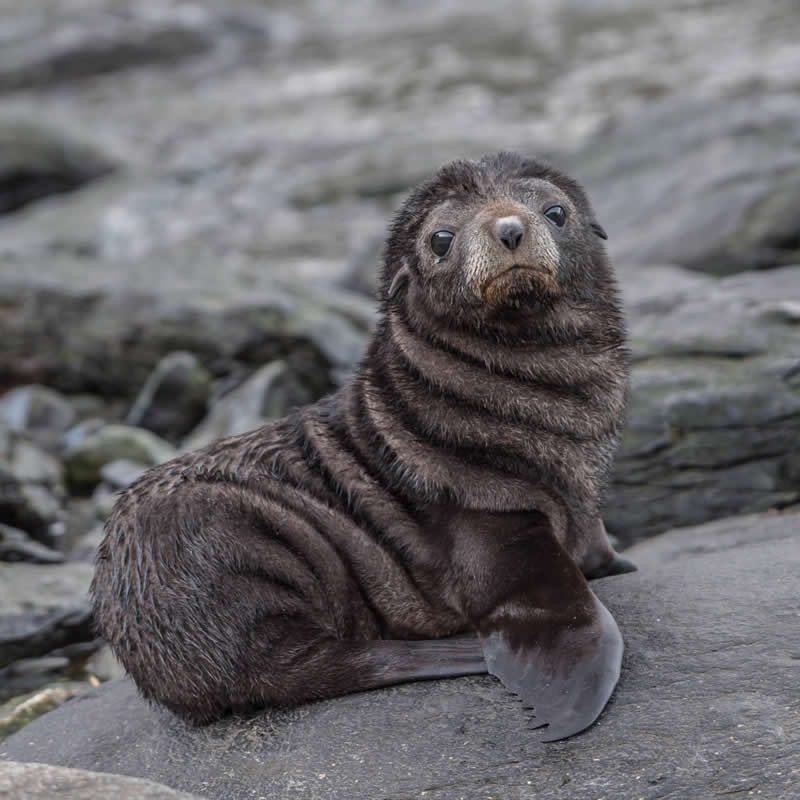 Me seeing a meeting invite on Summer Friday. Photo by: Andrew Coleman