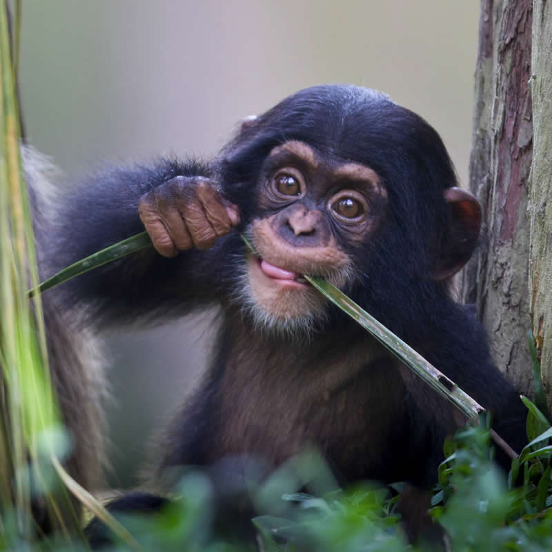 Your reminder to floss every day. Photo by: Manoj Shah