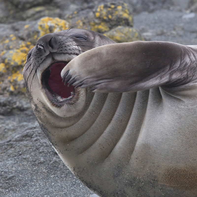 Monday morning mood. Photo by: Brett Phibbs