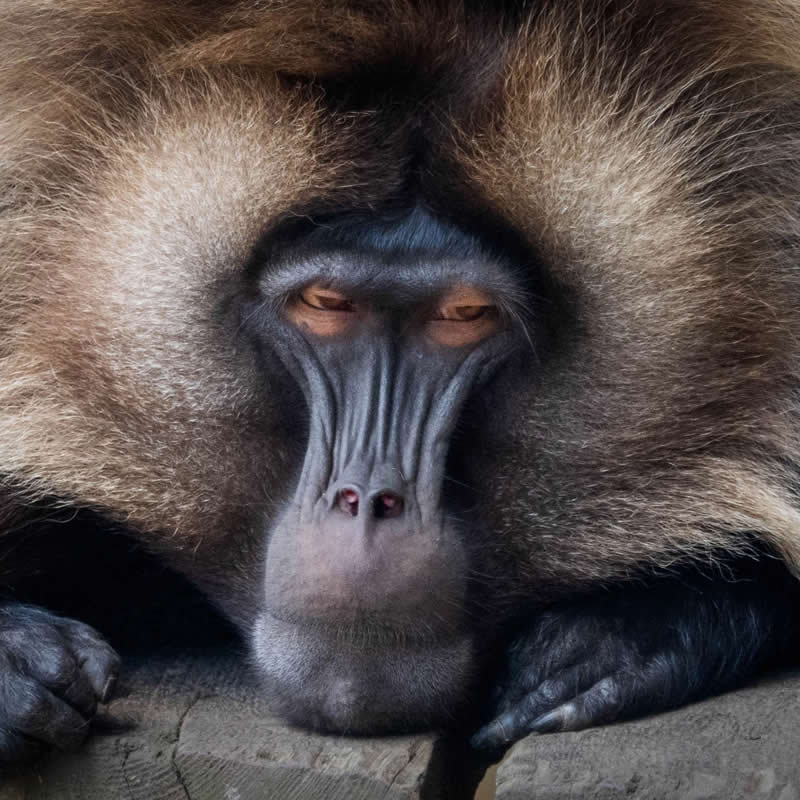 Tuesday morning after a long weekend. Photo by: Steve Stringer