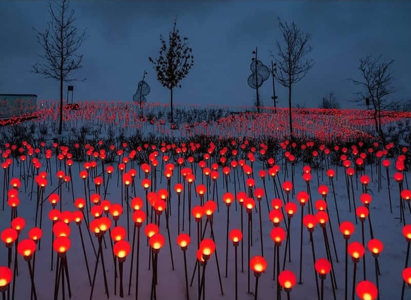 A snowy landscape filled with hundreds of glowing red lights on thin stems, framed by silhouetted trees and a deep blue evening sky.