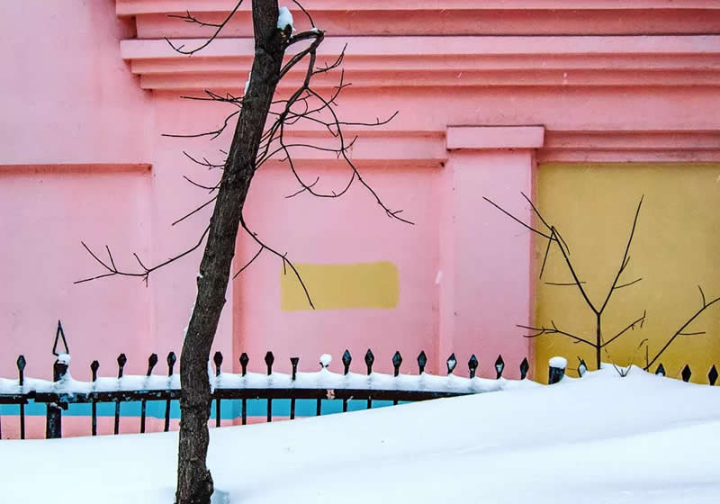A snow-covered foreground with a bare tree, dark metal fence, and pastel pink and yellow building creating a colorful minimalist winter composition.