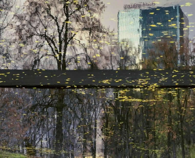 Autumn trees, scattered yellow leaves, and modern buildings reflected in a calm body of water, creating an atmospheric urban landscape with layered textures and symmetry.