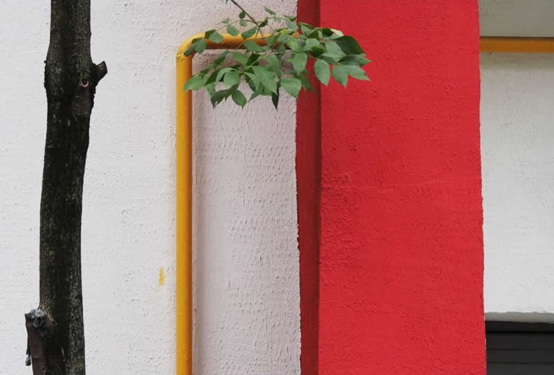 A dark tree trunk beside a white and red building wall, with a yellow pipe and green leafy branch creating a colorful minimalist composition.