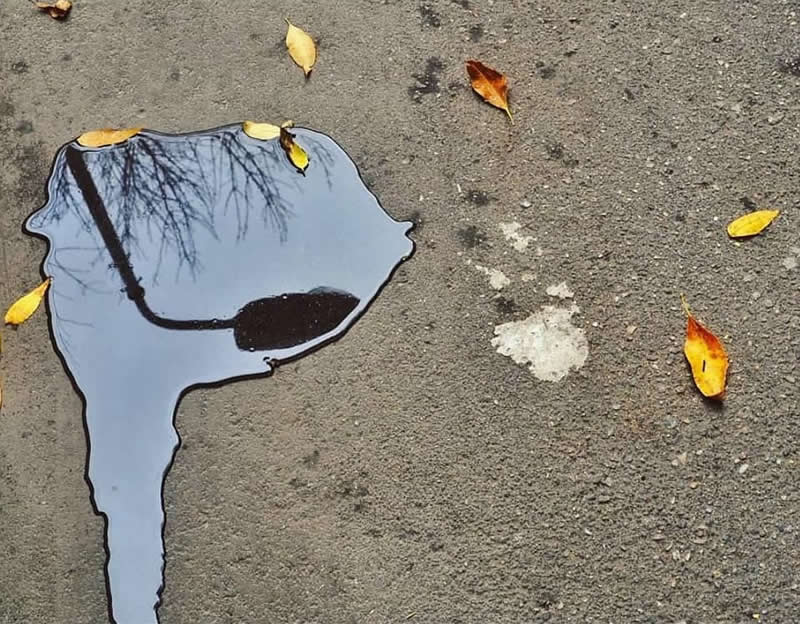 A puddle on rough pavement reflecting bare tree branches, surrounded by scattered yellow and brown autumn leaves.