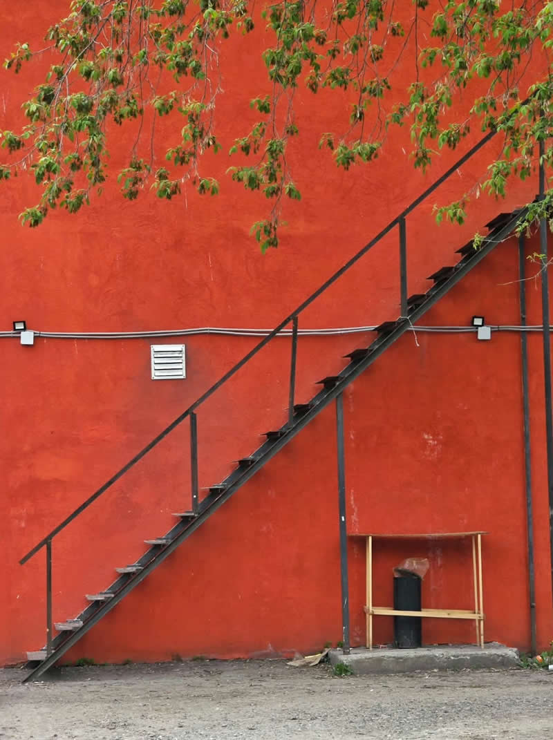 A black metal staircase crossing a vivid red wall diagonally, with delicate green branches above and a small wooden bench beneath the stairs.