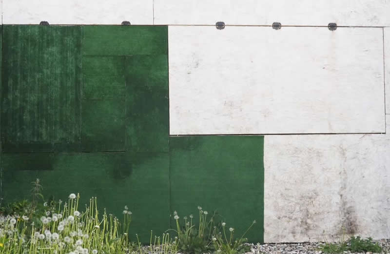 Green and white weathered wall panels forming geometric shapes, with a cluster of delicate dandelions growing along the bottom edge.