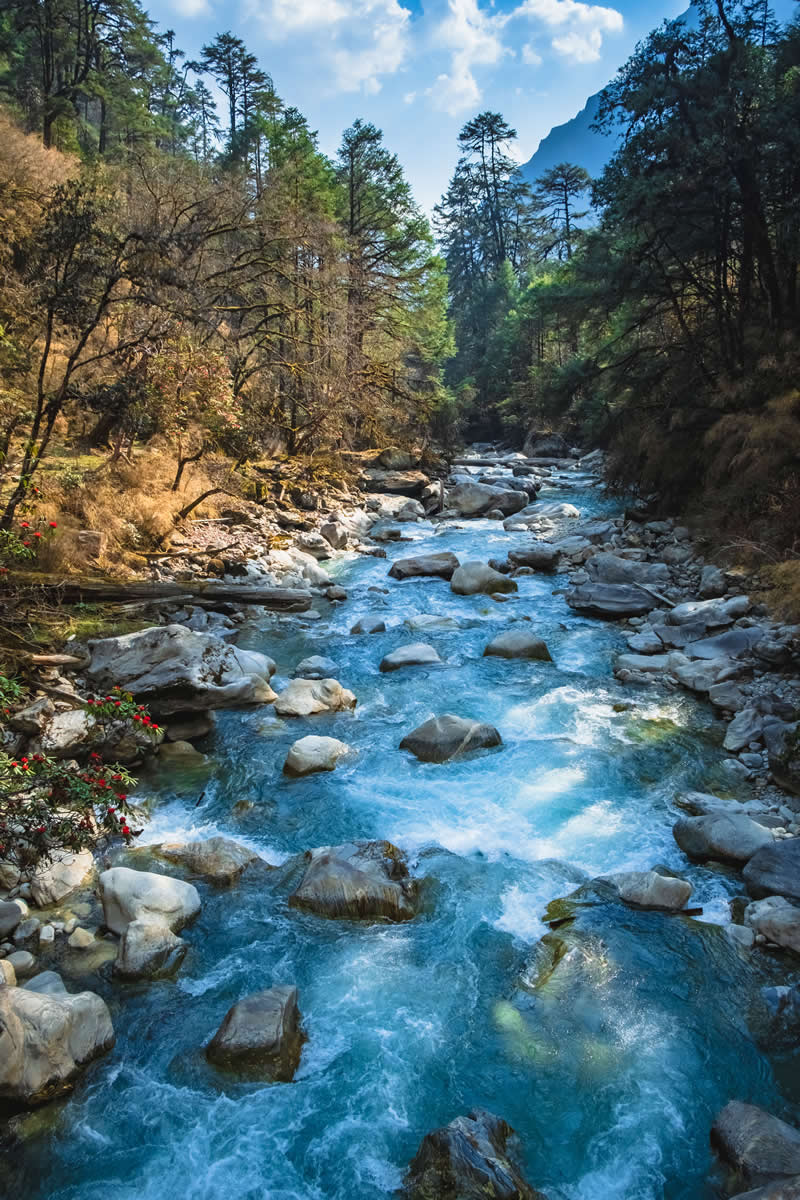 The World We Left Behind Langtang, Nepal by Arnab Debnath