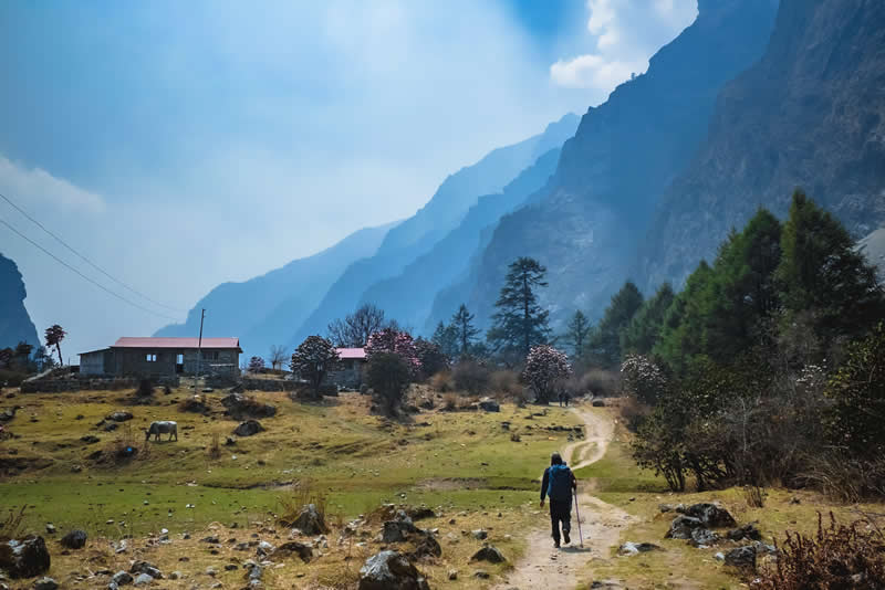 The World We Left Behind Langtang, Nepal by Arnab Debnath