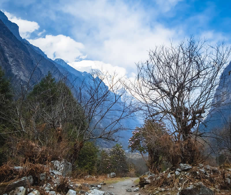 The World We Left Behind Langtang, Nepal by Arnab Debnath