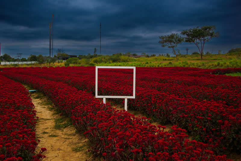 After the Celebration by Jirayut Thongwatcharapaiboon - LensCulture Street Photography Awards 2026 Winners