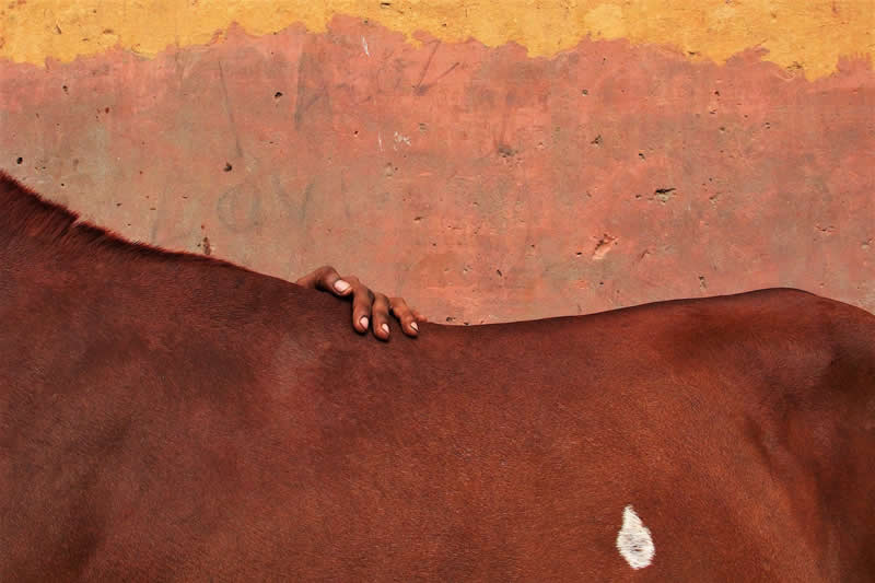 The Lost Home by Aniruddha Guha Sarkar - LensCulture Street Photography Awards 2026 Winners