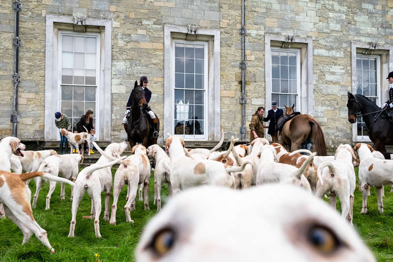 Hounds and Horses by Kuba Abramowicz - LensCulture Street Photography Awards 2026 Winners