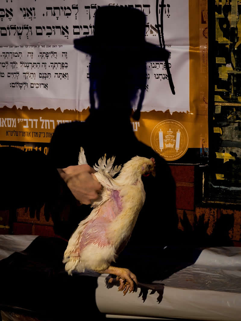 Kapparot by Mark Zilberman - LensCulture Street Photography Awards 2026 Winners