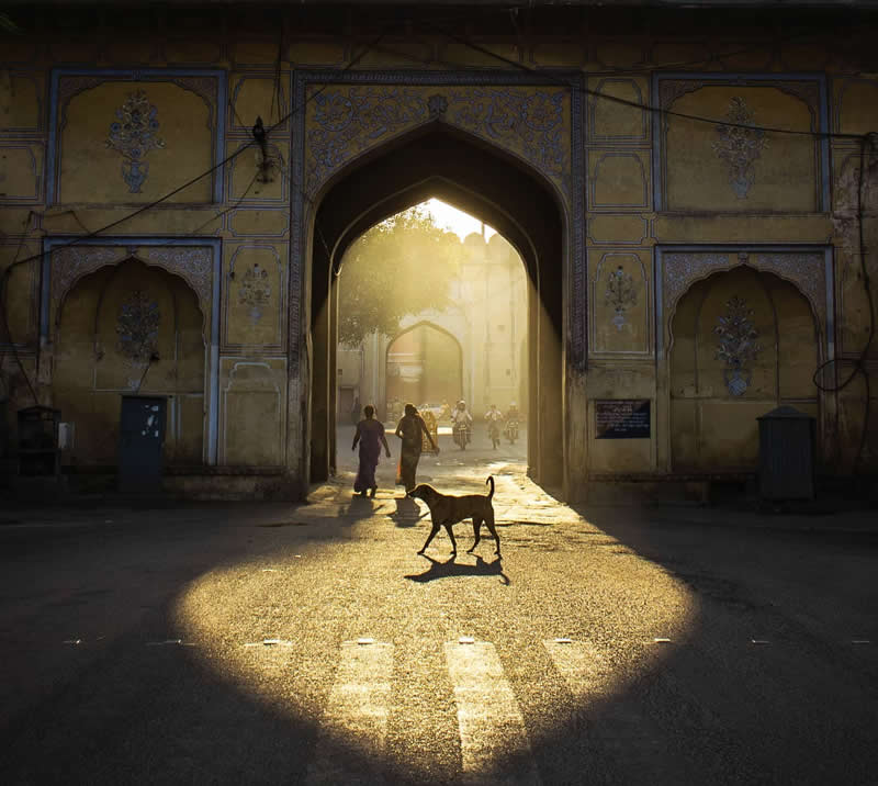 Perfectly Timed Street Photos in the Right Spot