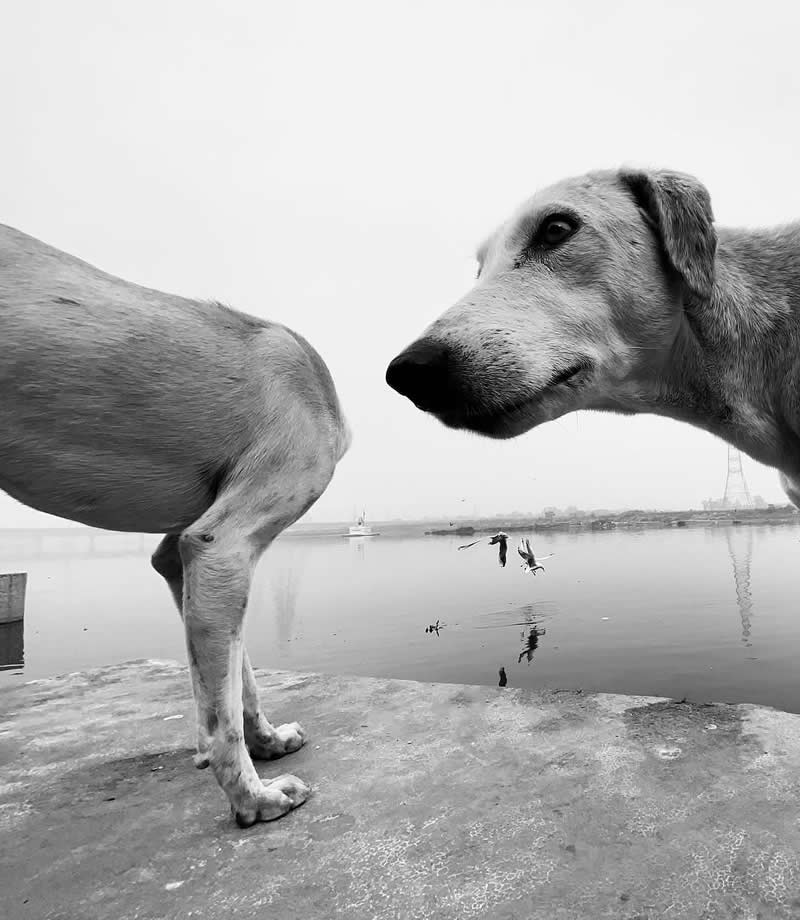 Perfectly Timed Street Photos in the Right Spot