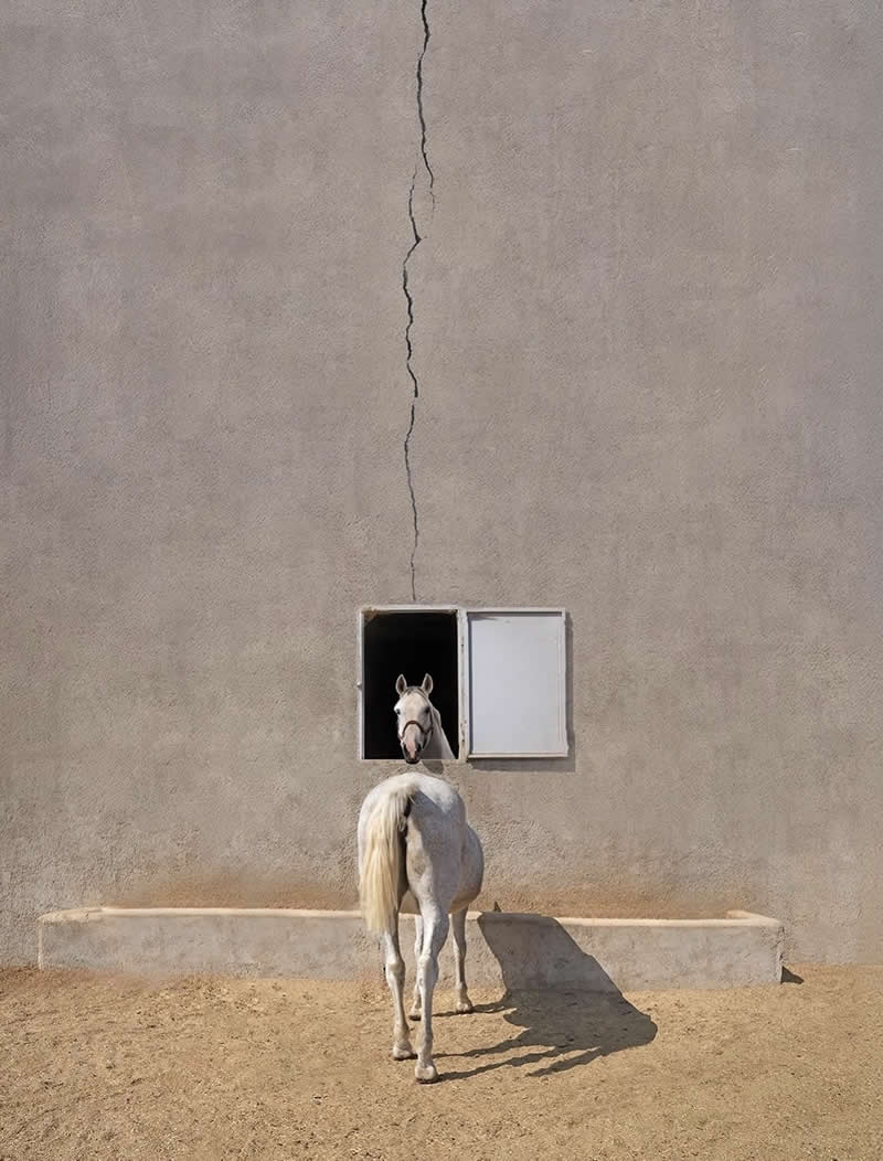 Perfectly Timed Street Photos in the Right Spot