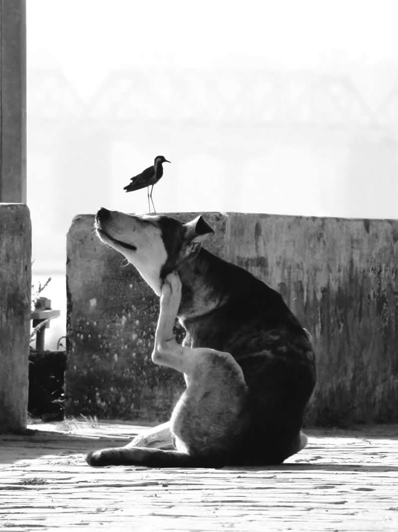 Perfectly Timed Street Photos in the Right Spot