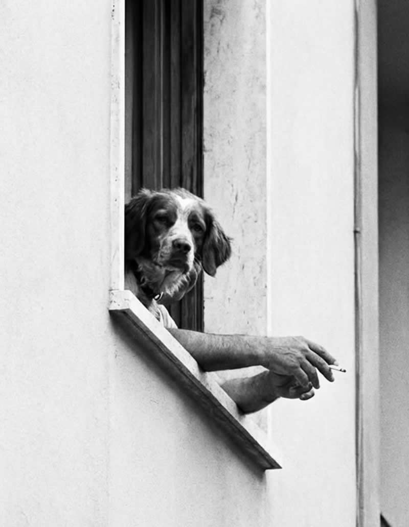 Perfectly Timed Street Photos in the Right Spot