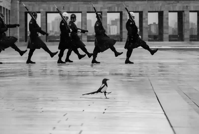Perfectly Timed Street Photos in the Right Spot