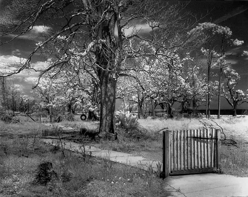 The Quiet Genius of John Loengard, LIFE Magazine's Master Photographer 43 Master Photographer John Loengard