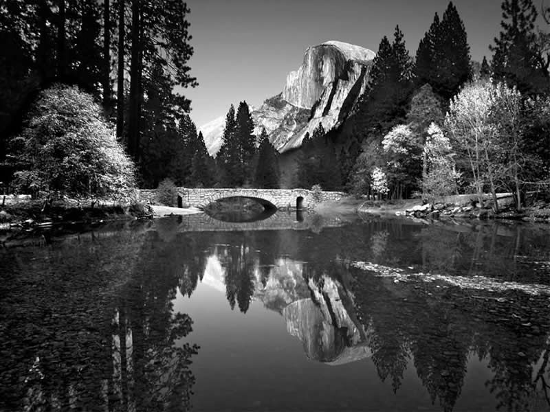Classic Master Photographers Taught Us About Frame Composition