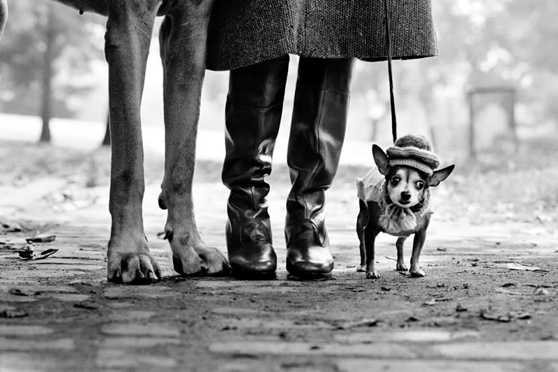 Classic Master Photographers Taught Us About Frame Composition