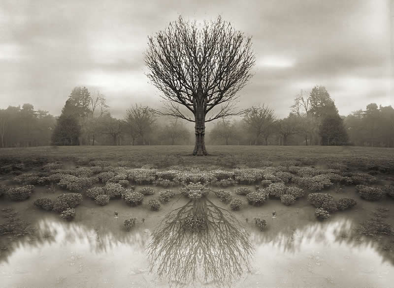 Classic Master Photographers Taught Us About Frame Composition