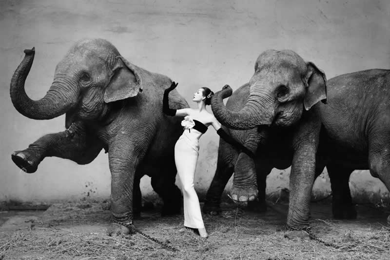 Classic Master Photographers Taught Us About Frame Composition
