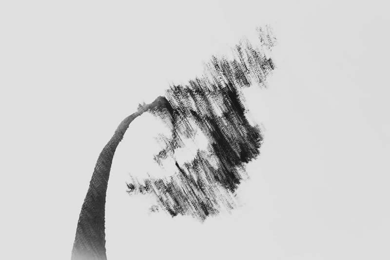 Abstract - 3rd Place: Calligraphy of Nature by Hyeong gyu ku - Minimalist Photography Awards 2026 Winners