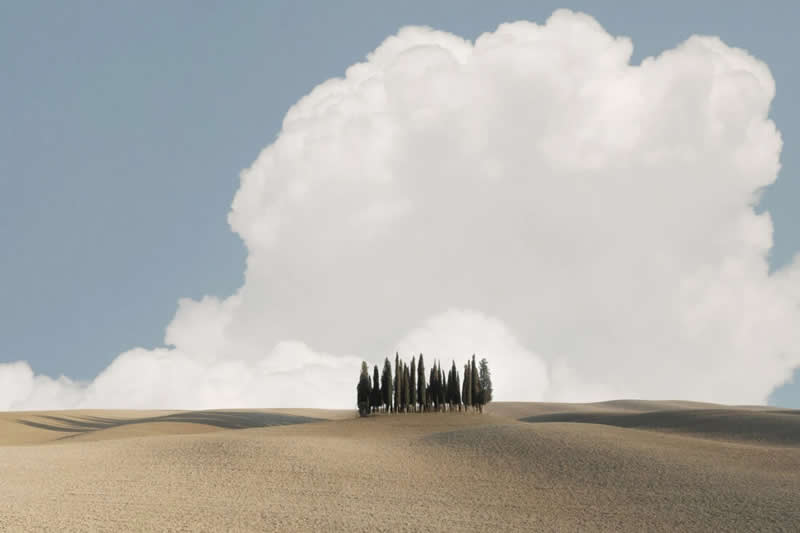 Landscape - 1st Place: Tuscan Cypresses by Gianfranco Bove - Minimalist Photography Awards 2026 Winners