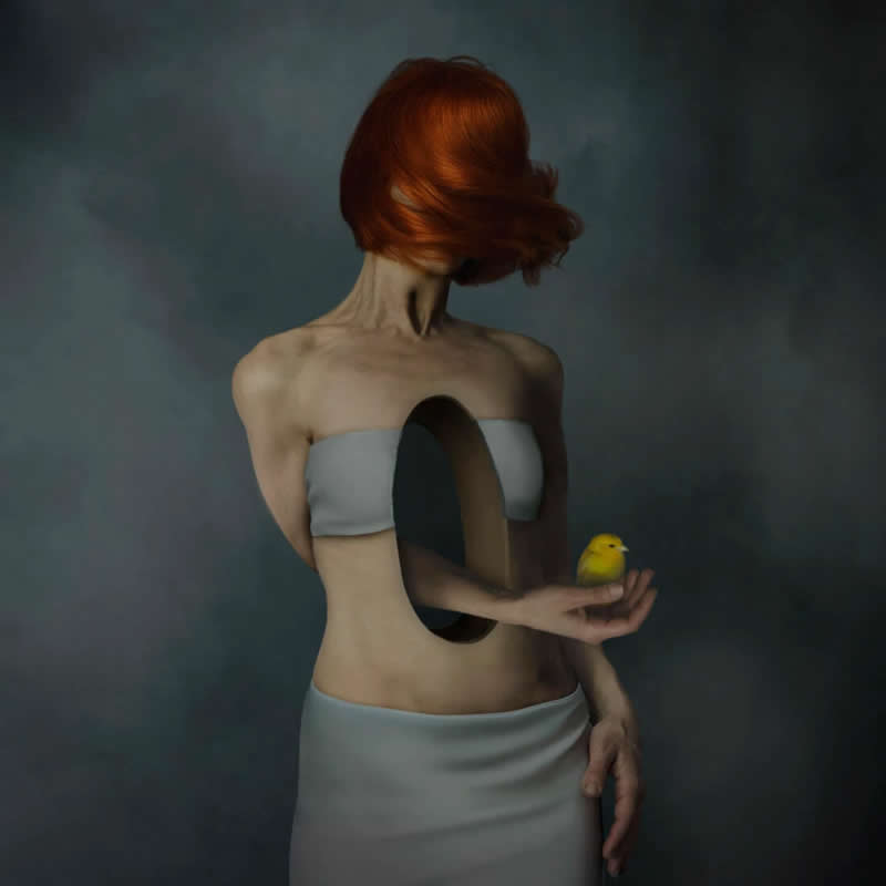 Photomanipulation - 1st Place: Early Warning by Shirin Town - Minimalist Photography Awards 2026 Winners