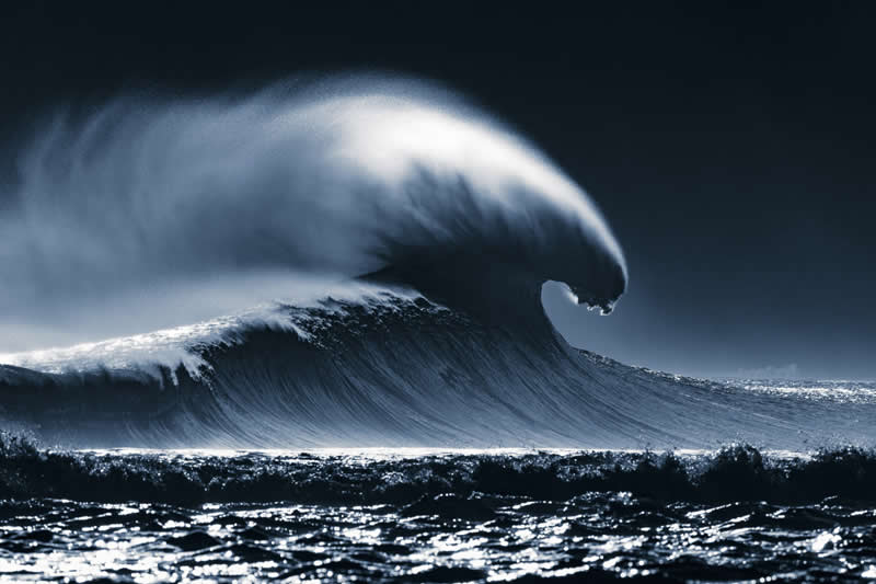 Ocean Photographer of the Year
