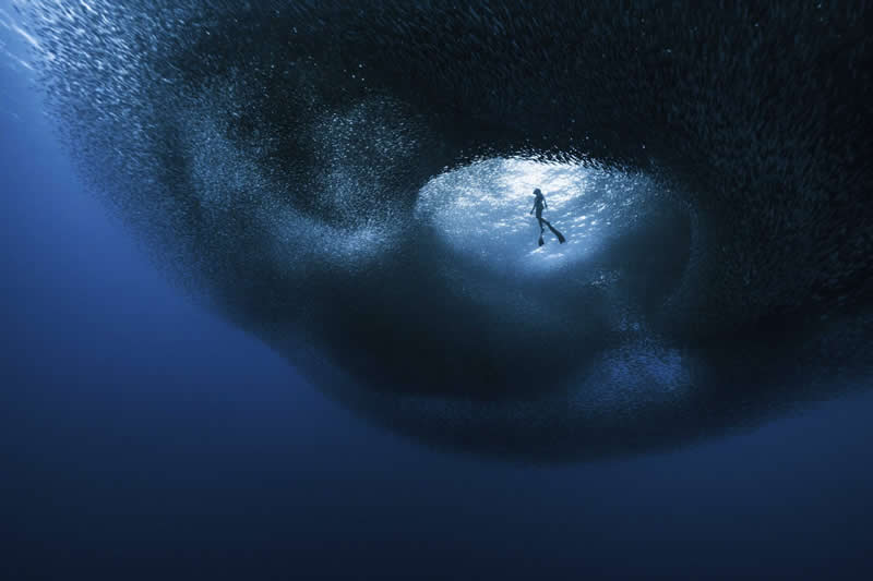 Ocean Photographer of the Year