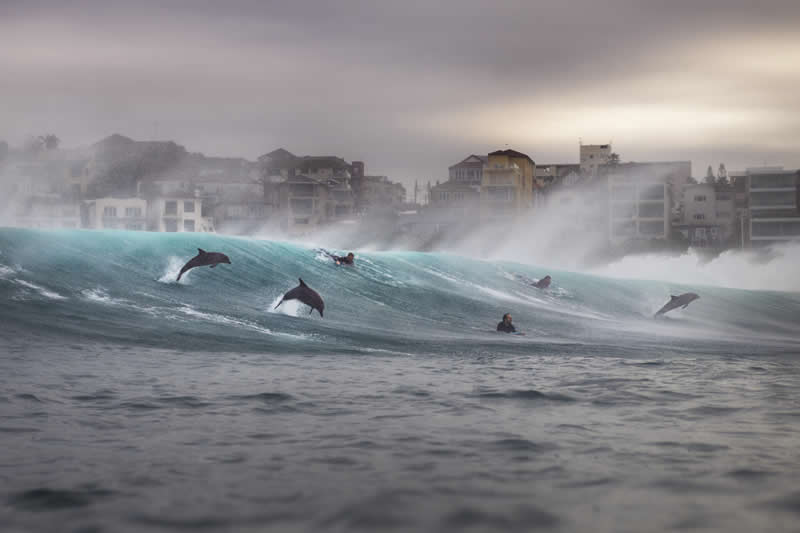 Ocean Photographer of the Year