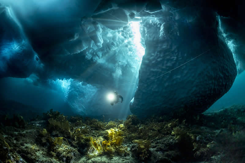 Ocean Photographer of the Year