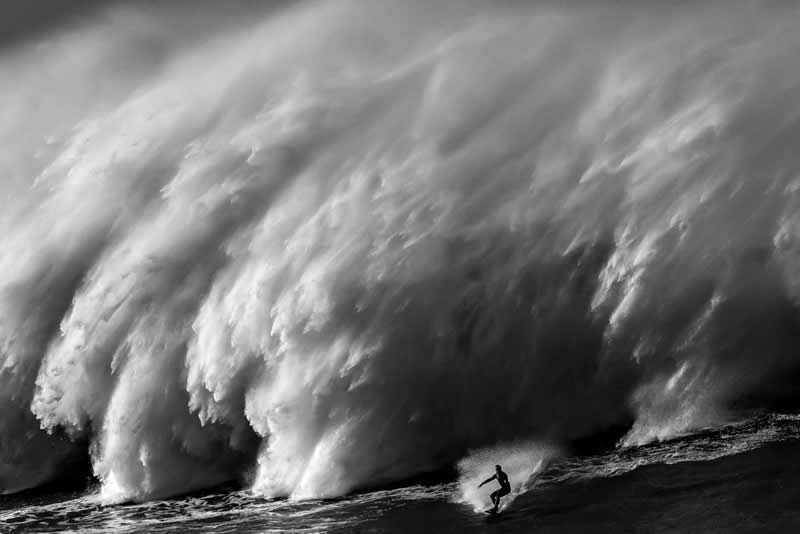 Ocean Photographer of the Year