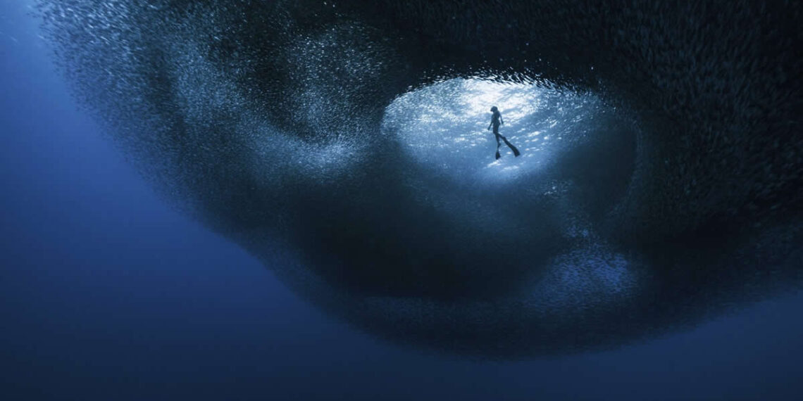 Ocean Photographer of the Year Finalists