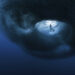 The Ocean Photographer of the Year Finalists Capture the Wonder and Wounds of the Sea 91 Ocean Photographer of the Year Finalists
