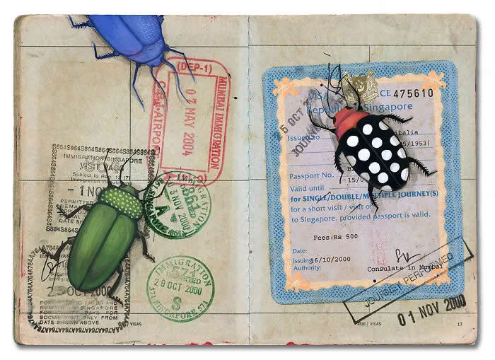 From Passport to Paintings: Illustrator Radhika Chitalia's Heartfelt Tribute to Her Late Father 27 From Passport to Paintings by Illustrator Radhika Chitalia