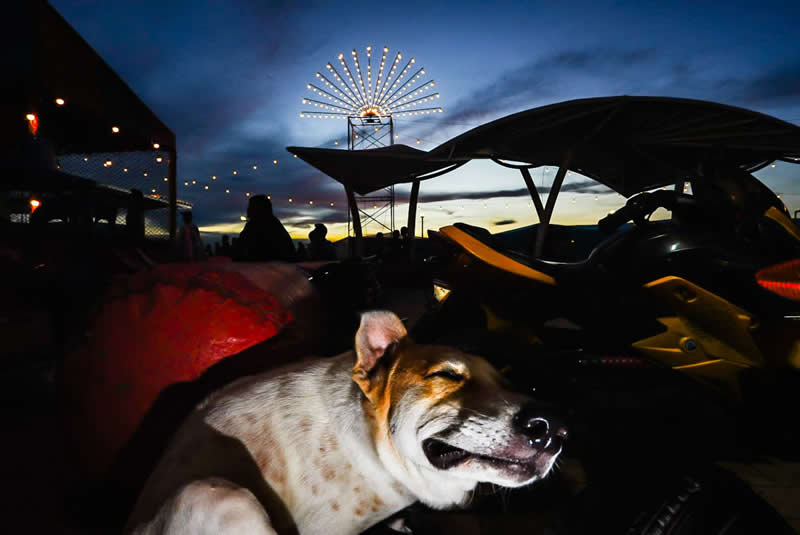 A Smile in the Dark by Phatsakorn Bundasak, Thailand - Pure Street Photography 2026 Winners